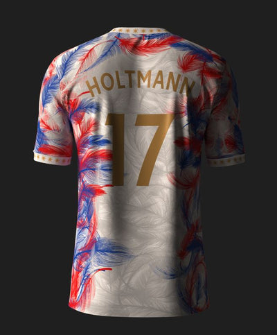 PH TEAM JERSEYS WITH EMBROIDERED CREST BULK ORDER (10 JERSEYS, 3 SHORTS)