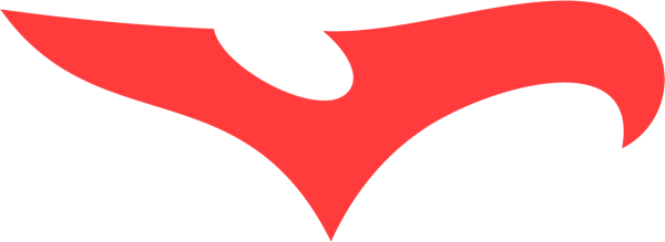 JerseyBird